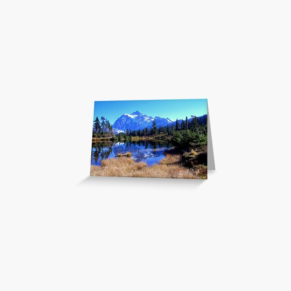 Item preview, "Reflective Beauty" designed and sold by Lynn Bawden.