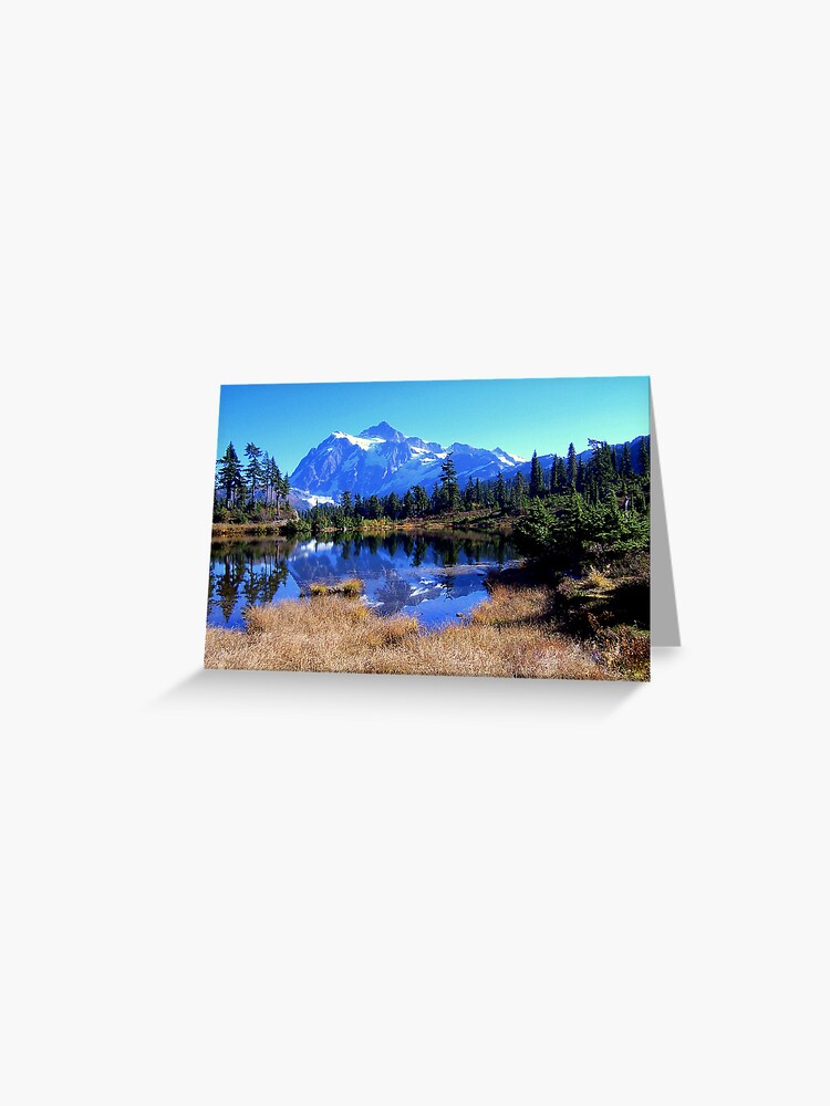Thumbnail 1 of 2, Greeting Card, "Reflective Beauty" designed and sold by lynnbawden.
