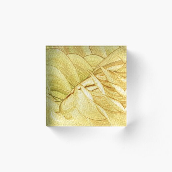 Ninigalla Acrylic Block