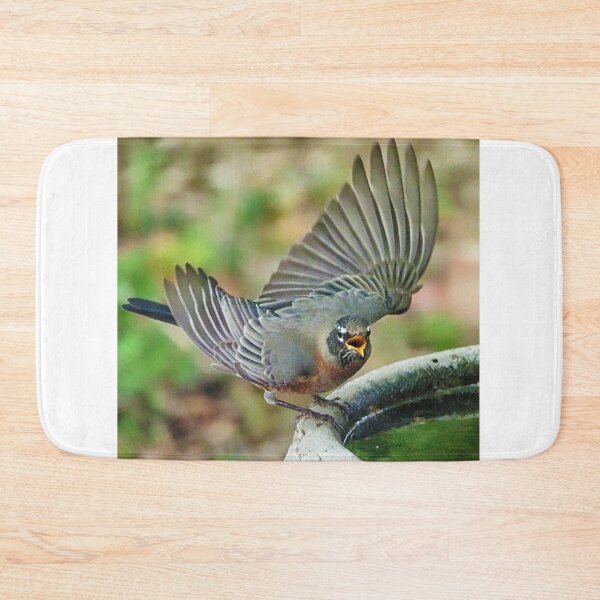 Item preview, Robin Squawks at the Birdbath designed and sold by Chapperson.
