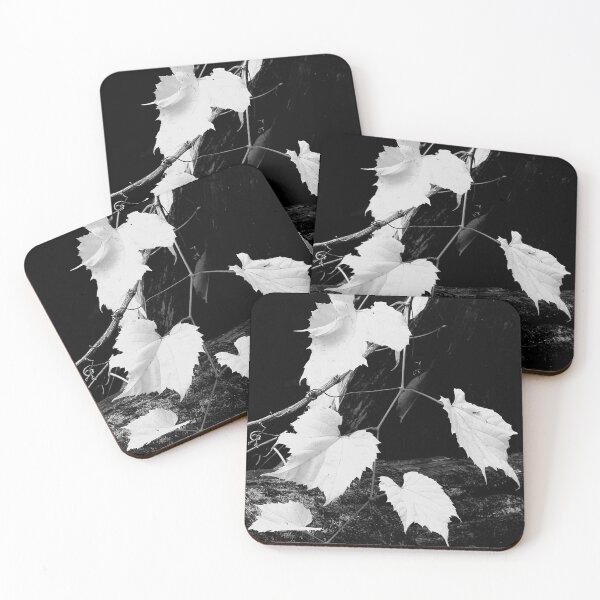 Item preview, Grapevines designed and sold by J Rier Photography.