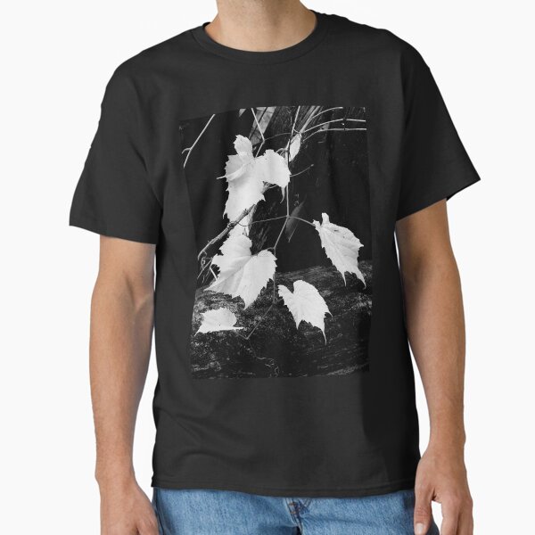 Item preview, Grapevines designed and sold by J Rier Photography.
