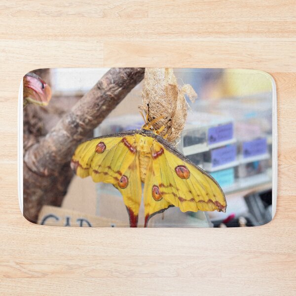 Item preview, Comet or madagascan moon moth designed and sold by GreyFeatherPhot.