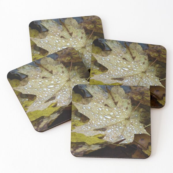 Item preview, After A Fall Rain designed and sold by TammieE.