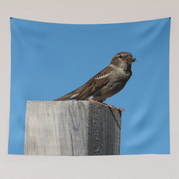 Item preview, Breakfast or Lunch? designed and sold by Susie Kramer.