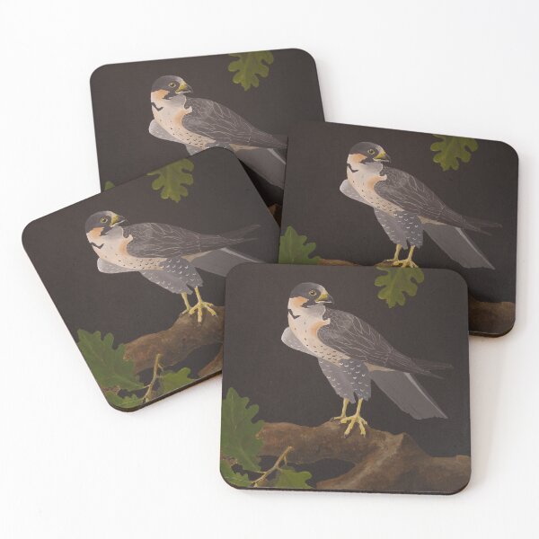 Item preview, Falcon and Oak designed and sold by Charlie PS Corrigan.