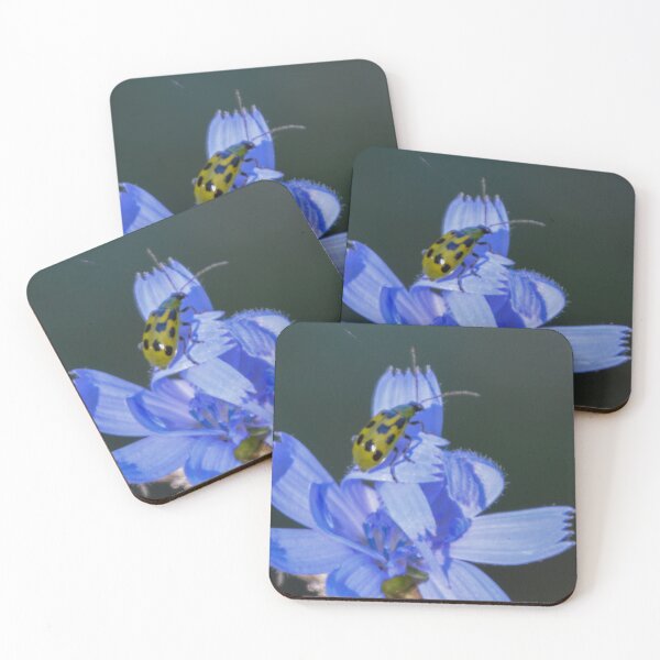 Item preview, Spotted Beetle on Chicory Flower designed and sold by Jon Williams.