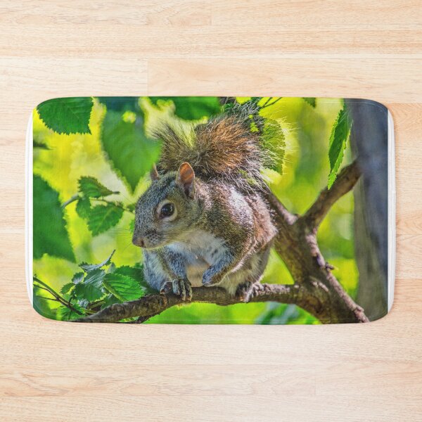 Item preview, #138 Squirrel sitting in a tree. designed and sold by phutball.