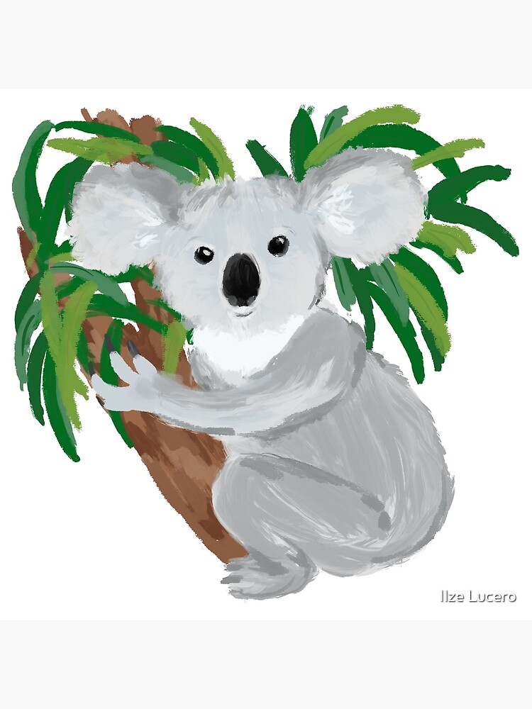 Cute painted koala Canvas Print for Sale by Ilze Lucero