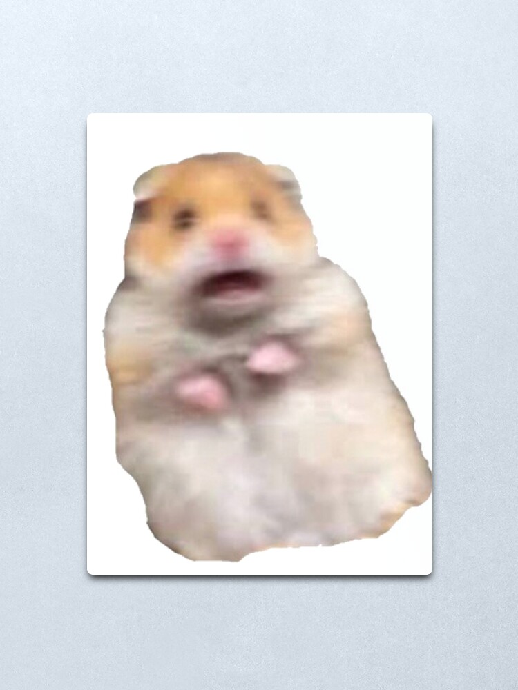 Screaming Hamster Meme Metal Print By James Heath Redbubble