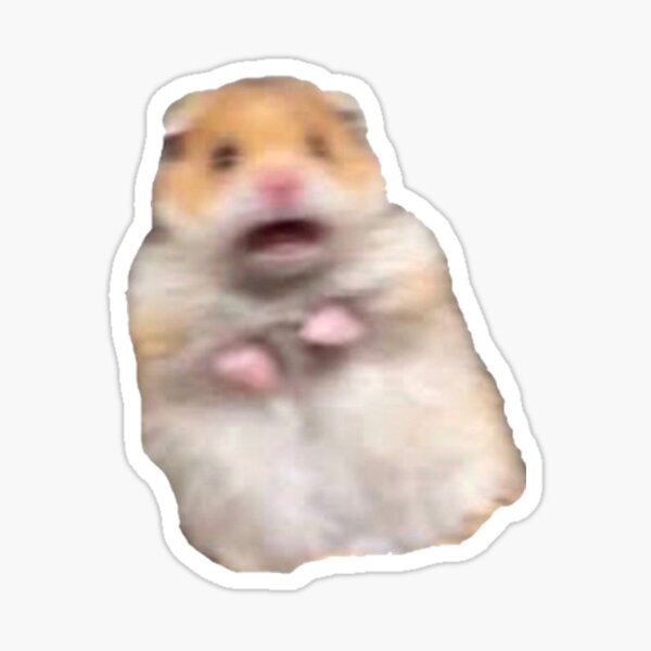 screaming hamster meme Sticker