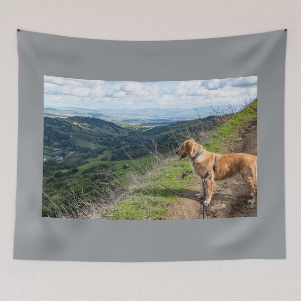 Item preview, Annie Bear en Las Trampas designed and sold by mpparnell.