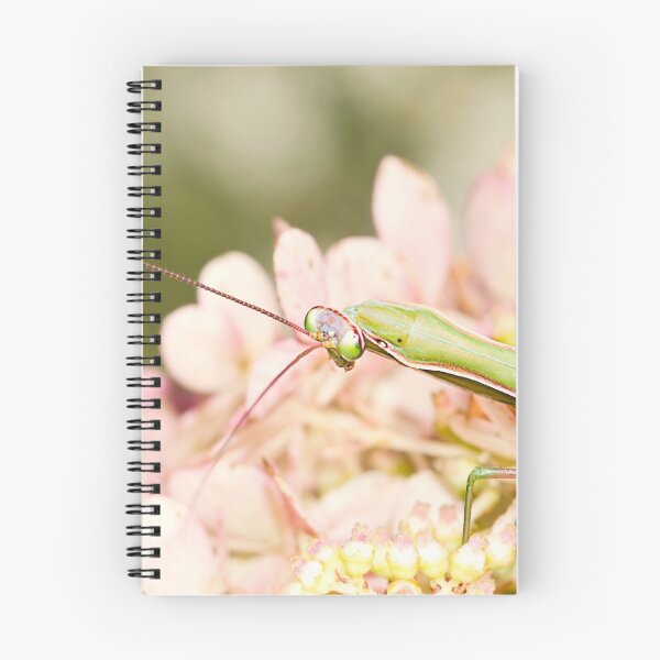 Item preview, Praying Mantis on Hydrangea designed and sold by Renee Dawson.