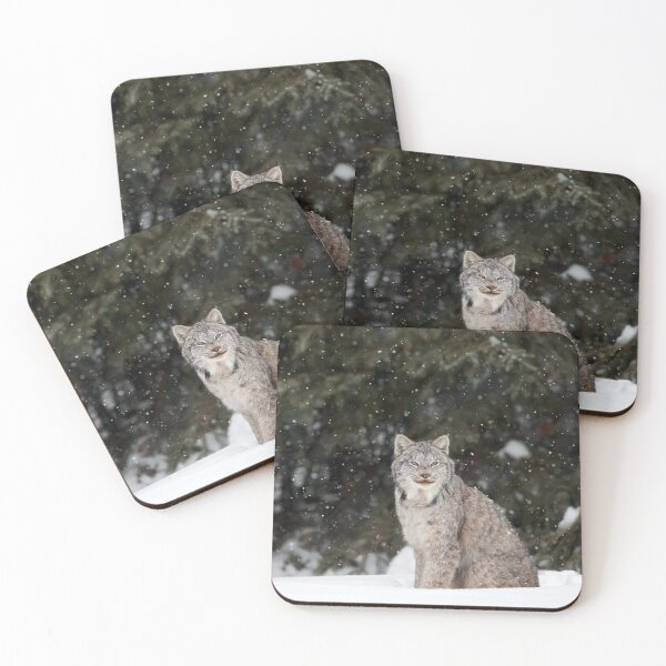 Item preview, Winter Visitor designed and sold by mlorenz.