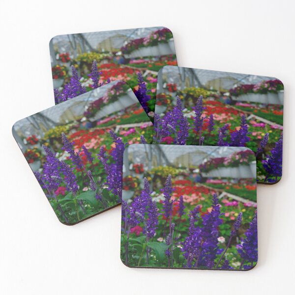Item preview, Purple flowers in a green house designed and sold by MargDeGaetano.