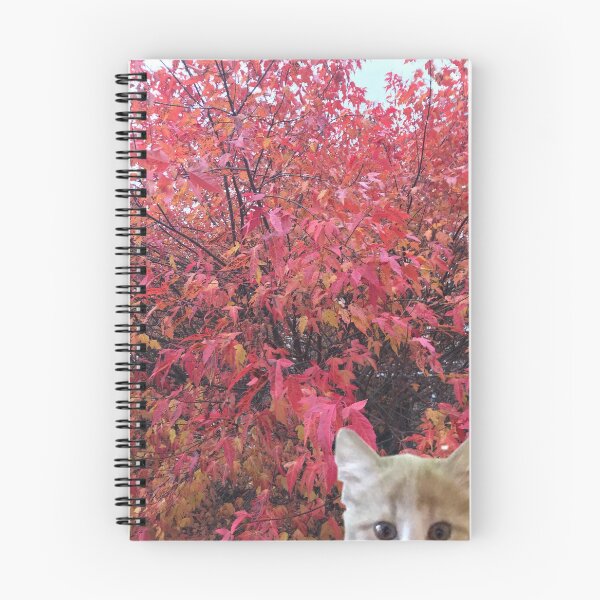Aperçu de l'œuvre Itty Bitty Autumn Kitty créée et vendue par PrissyMarie.
