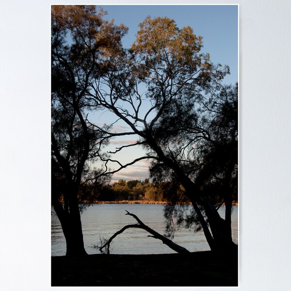 Item preview, View Across the Swan designed and sold by NolsNZ.