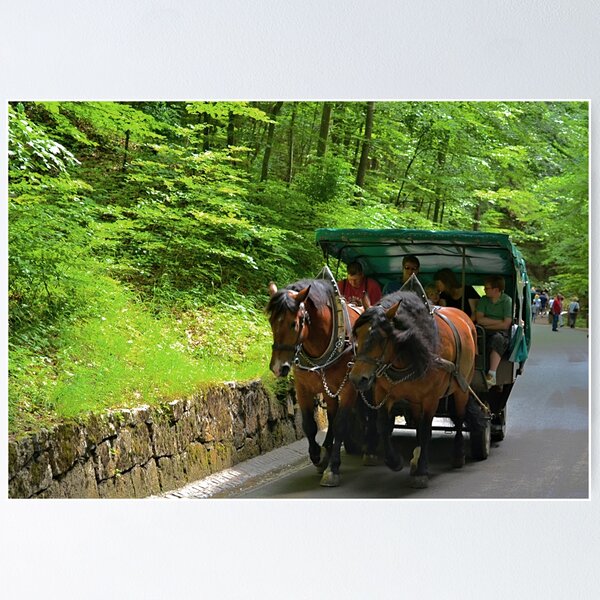 Item preview, Draft Horses designed and sold by Imagery.