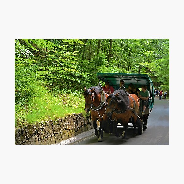 Item preview, Draft Horses designed and sold by Imagery.