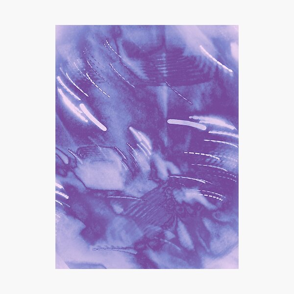 Lilac Bloom Photographic Print
