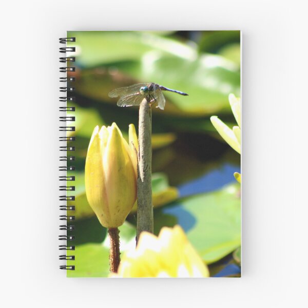 Item preview, dragonfly designed and sold by iambco.