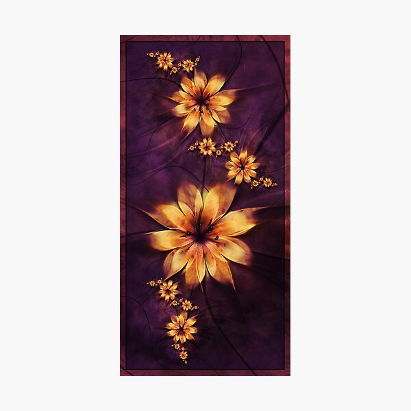 Tiger Lily Photographic Print