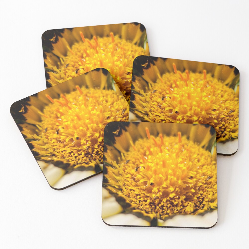 Item preview, Coasters (Set of 4) designed and sold by iambco.