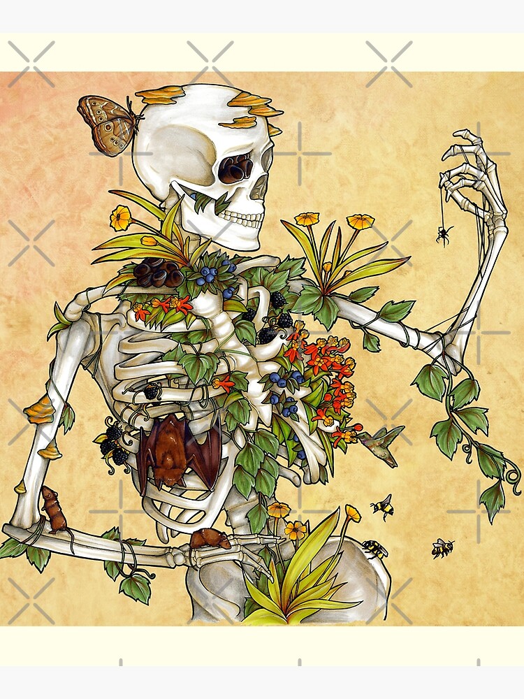 Thumbnail 6 of 6, Mounted Print, Bones and Botany designed and sold by E Moss.