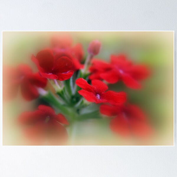Item preview, Red Verbena designed and sold by CameliaC.