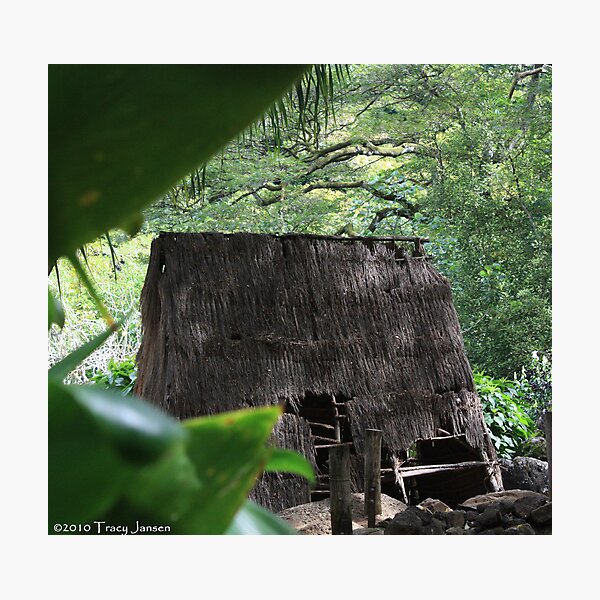Item preview, Waimea Ruins designed and sold by Tracy Jansen.