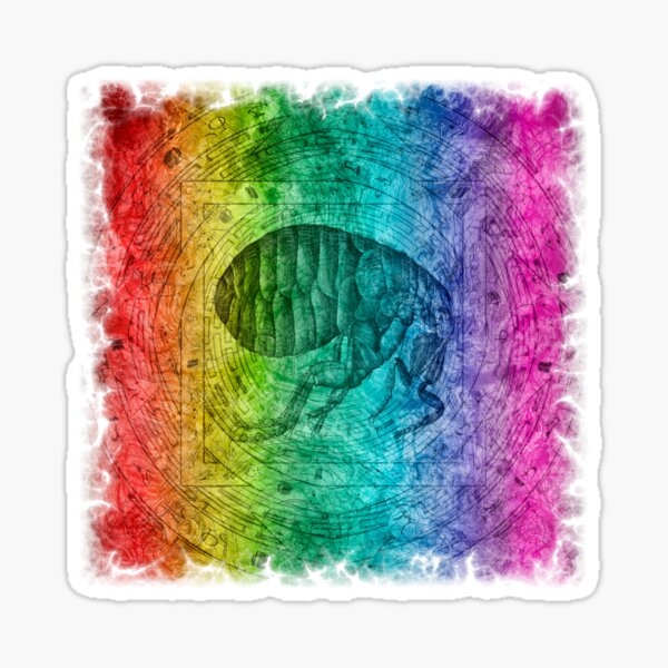 Hooke's Flea Sticker