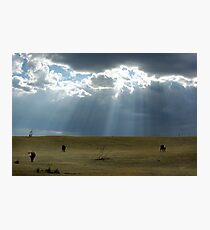 Open Range Photographic Print