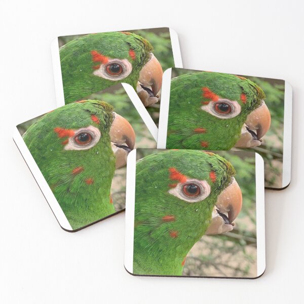 Item preview, Green Parrot designed and sold by Dalestorm718.