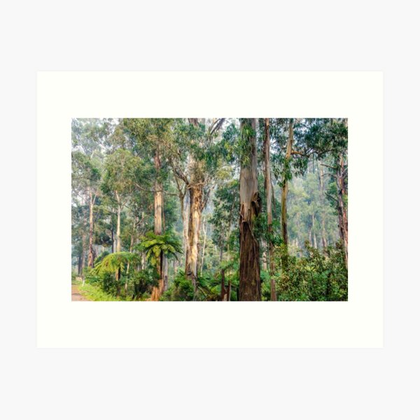 Item preview, A view of the Dandenong Ranges designed and sold by Kathie Thomas.