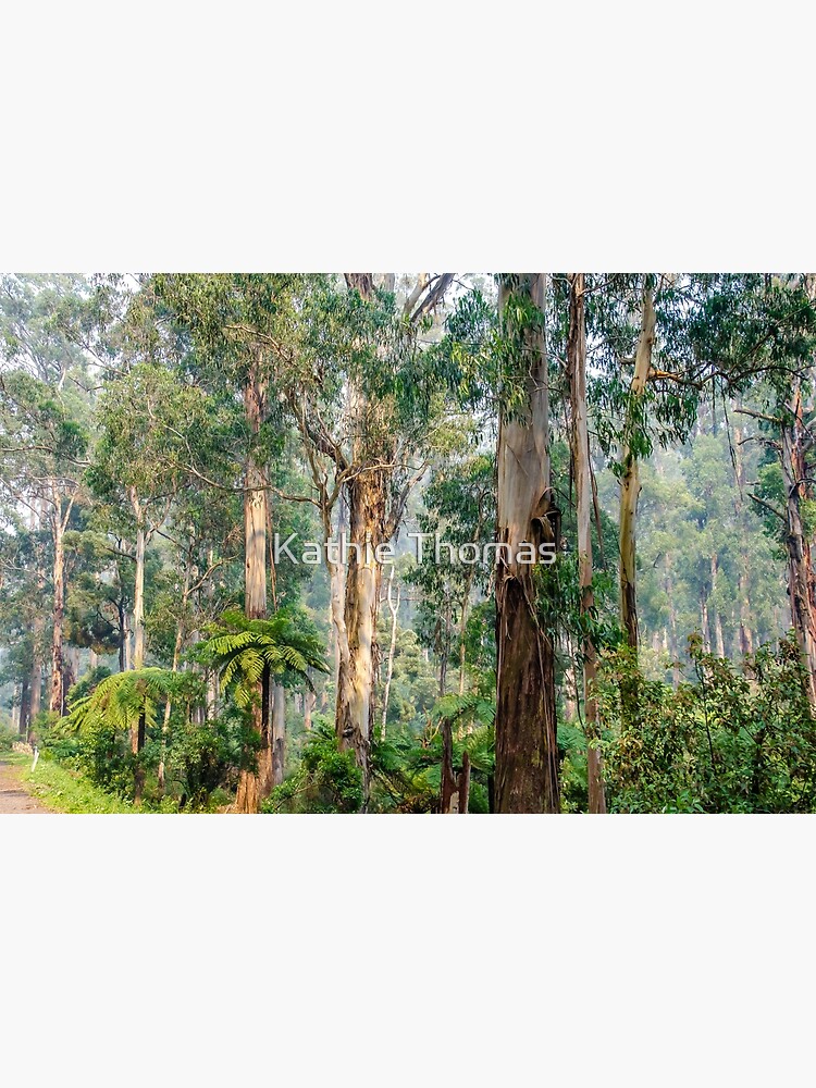 "A view of the Dandenong Ranges" Poster for Sale by kathiemt Redbubble