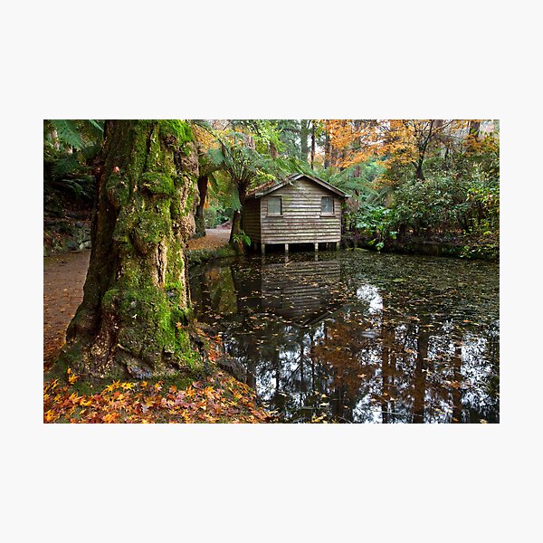 Item preview, Nicholas gardens Boathouse designed and sold by Vicki Moritz.