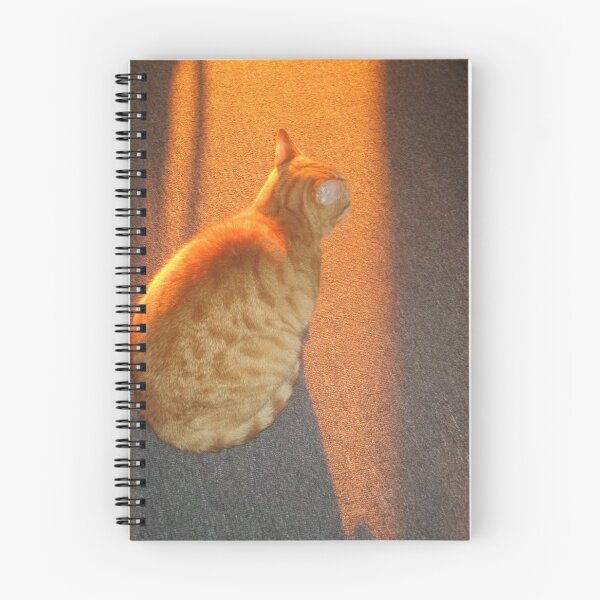 Item preview, Orange cat in orange light designed and sold by AmandaWitt.