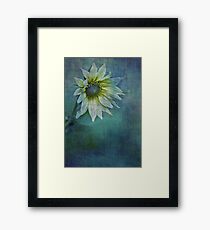 VINCENT Framed Print