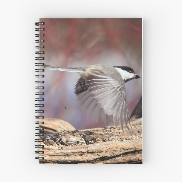 Item preview, Fly thru - Drive thru Chickadee designed and sold by Renee Dawson.