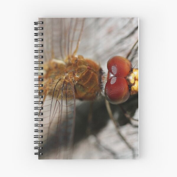 Item preview, Dragonfly designed and sold by cathywillett.