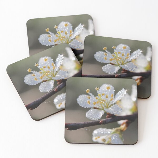 Item preview, Beautiful dew covered Prunus spinosa or Buckthorn designed and sold by Imladris01.