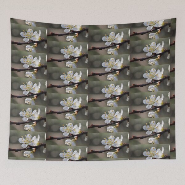 Item preview, Beautiful dew covered Prunus spinosa or Buckthorn designed and sold by Imladris01.