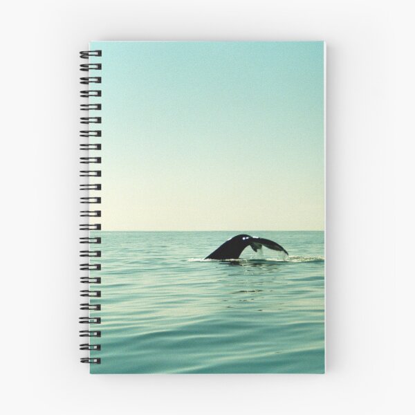 Item preview, Whale designed and sold by Julia Aufschnaiter.