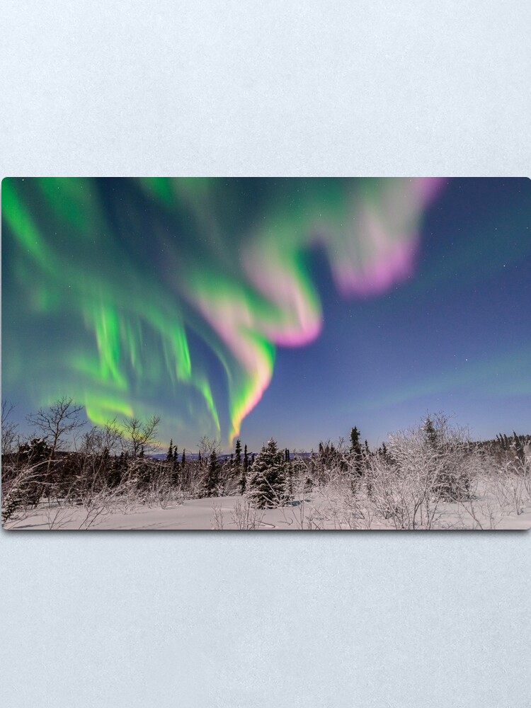 Alternate view of Winter Wonderland Metal Print