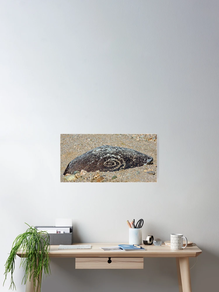 Imagen 2 de 3, Póster con la obra Petroglyph, diseñada y vendida por Randall Ingalls.