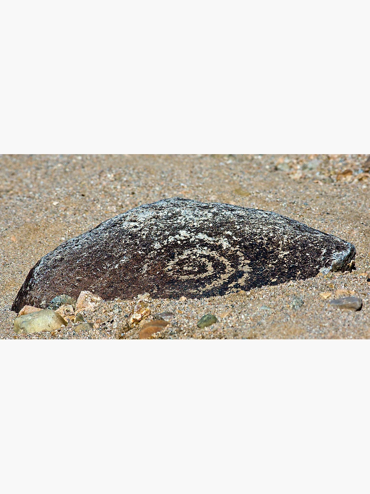 Imagen 3 de 3, Póster con la obra Petroglyph, diseñada y vendida por Randall Ingalls.