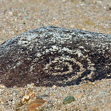 Imagen de la obra Petroglyph de Randall Ingalls