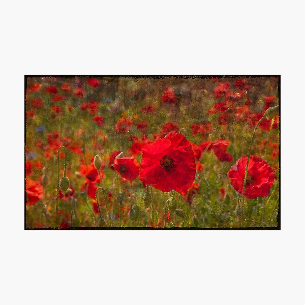 Item preview, Poppy Tapestry designed and sold by almaalice.