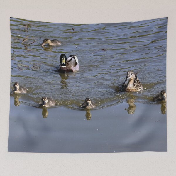 Item preview, Seven Ducks are Swimming !! designed and sold by AnnDixon.