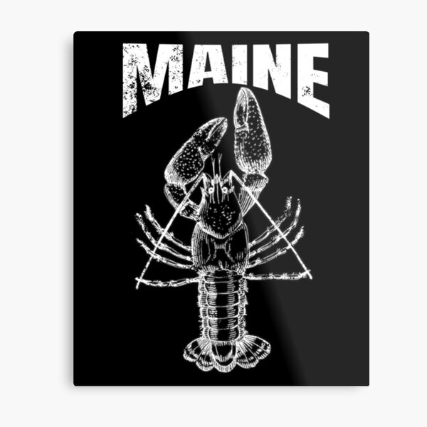 Maine Lobster Metal Print